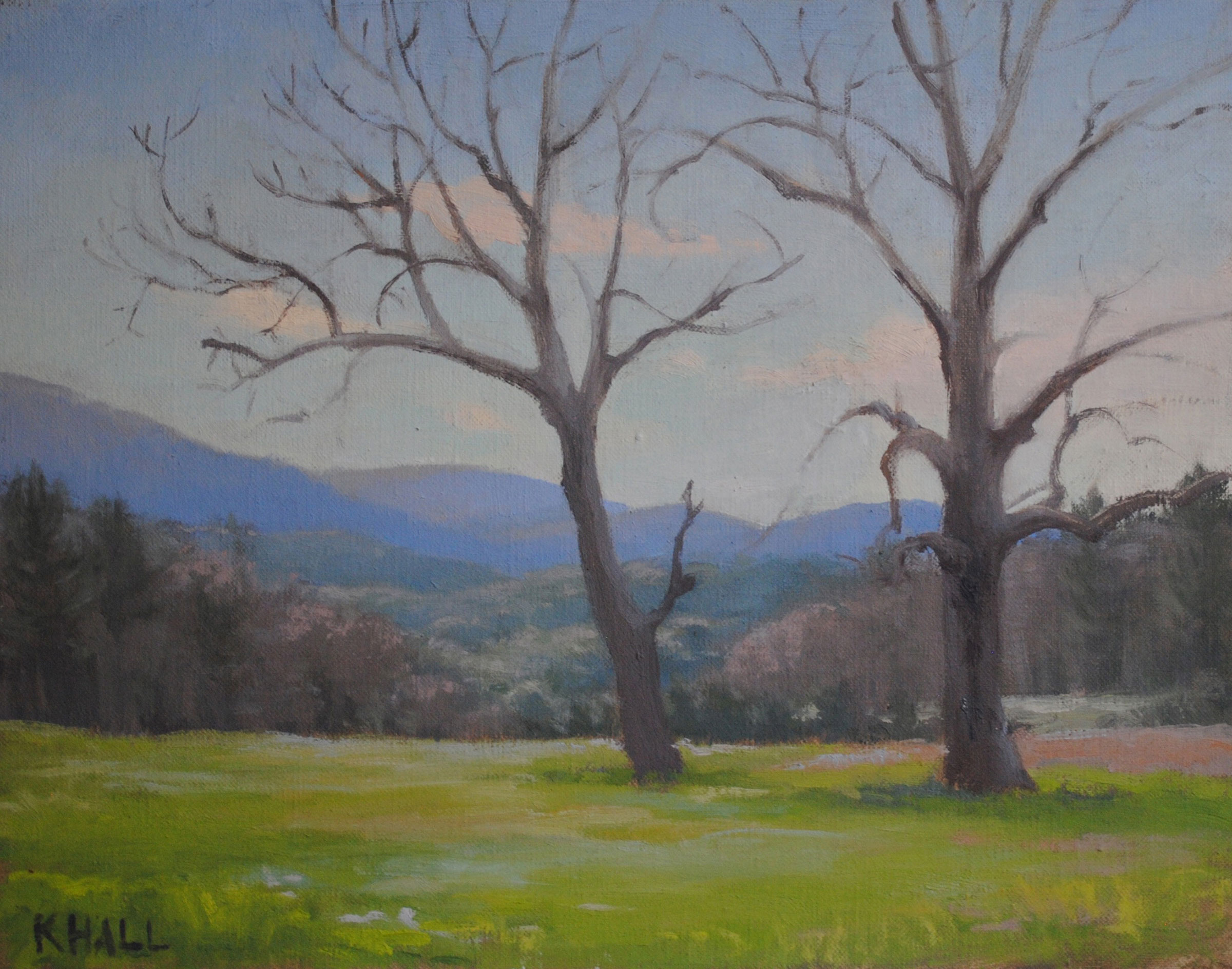 Cades Cove, TN