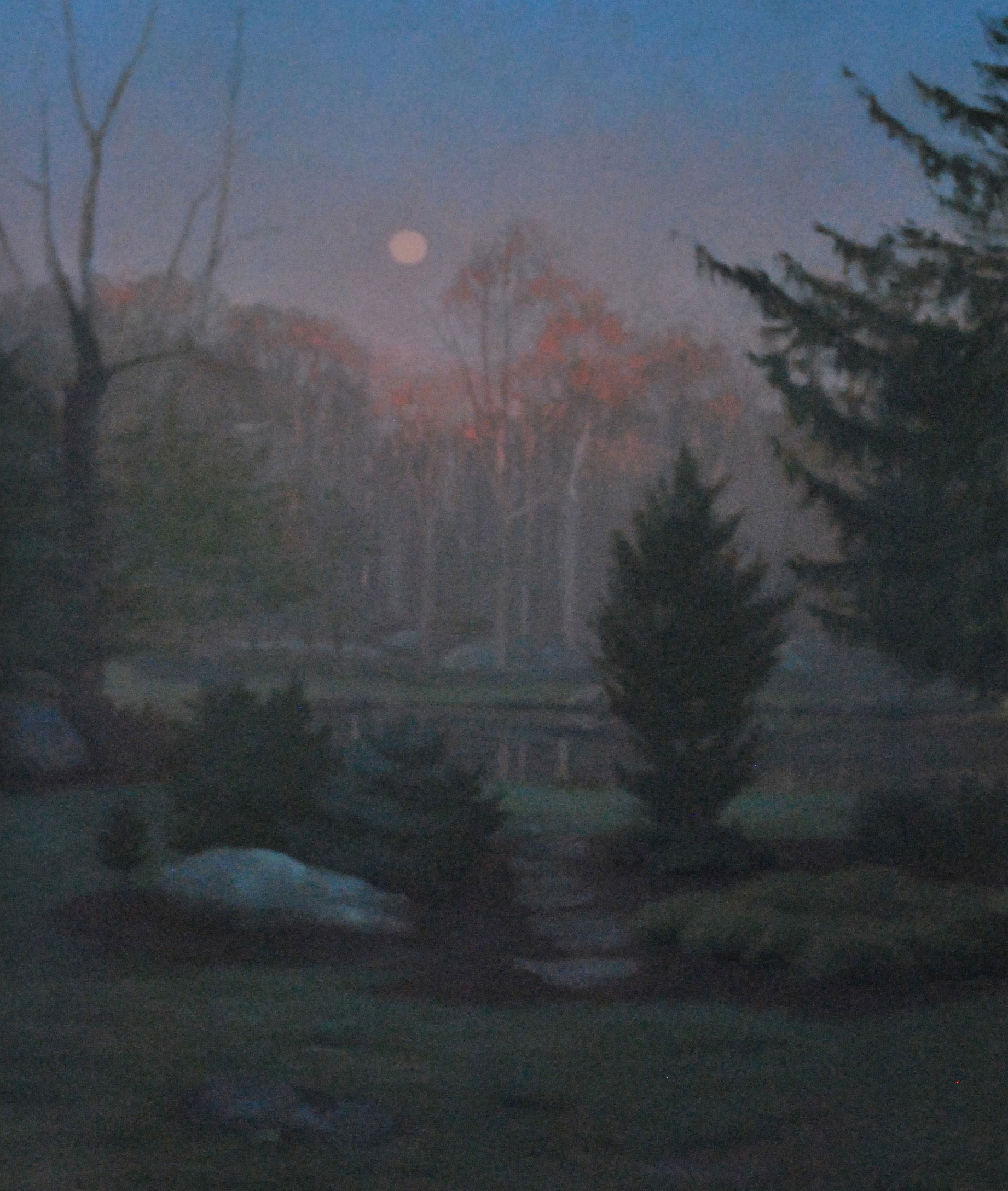 Spring_moonrise