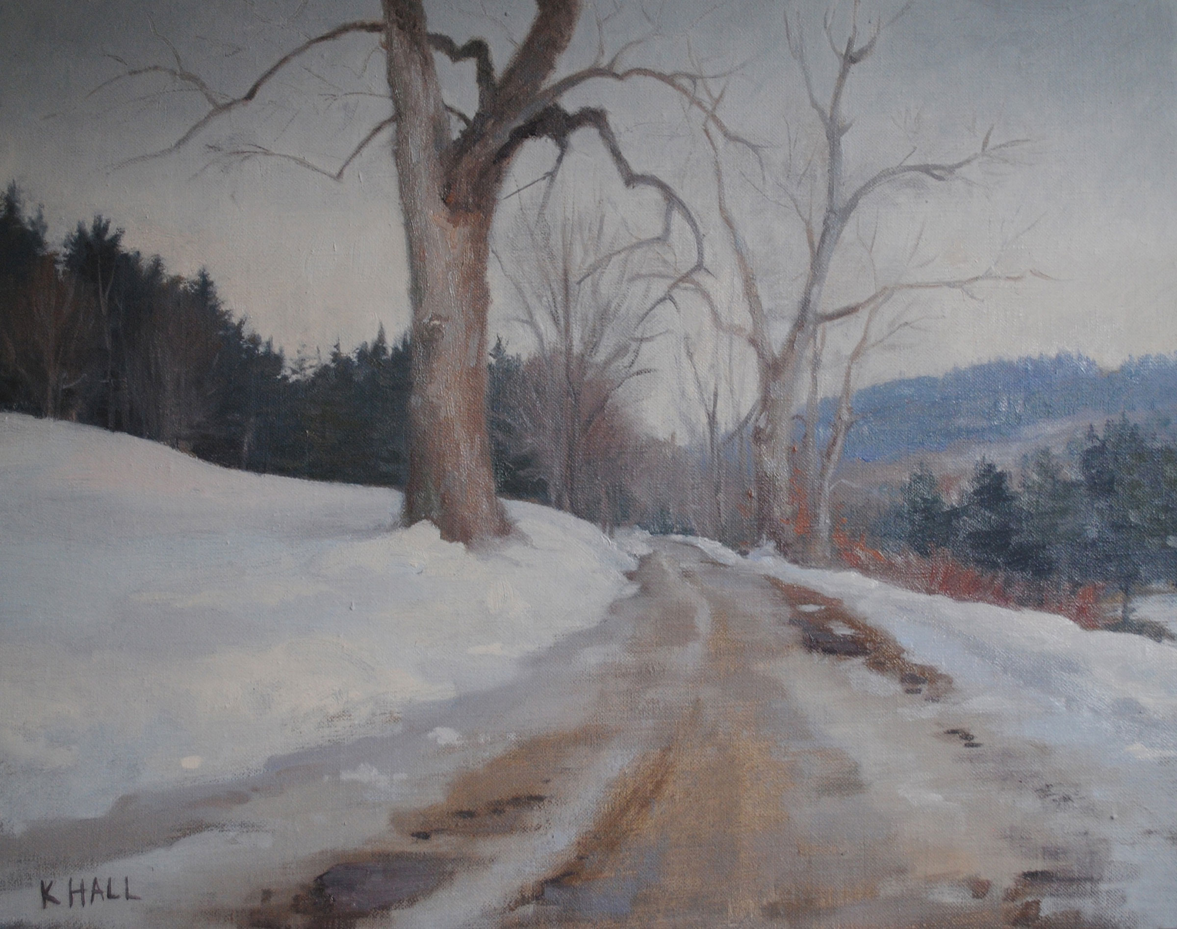 Winter_thaw_vermont