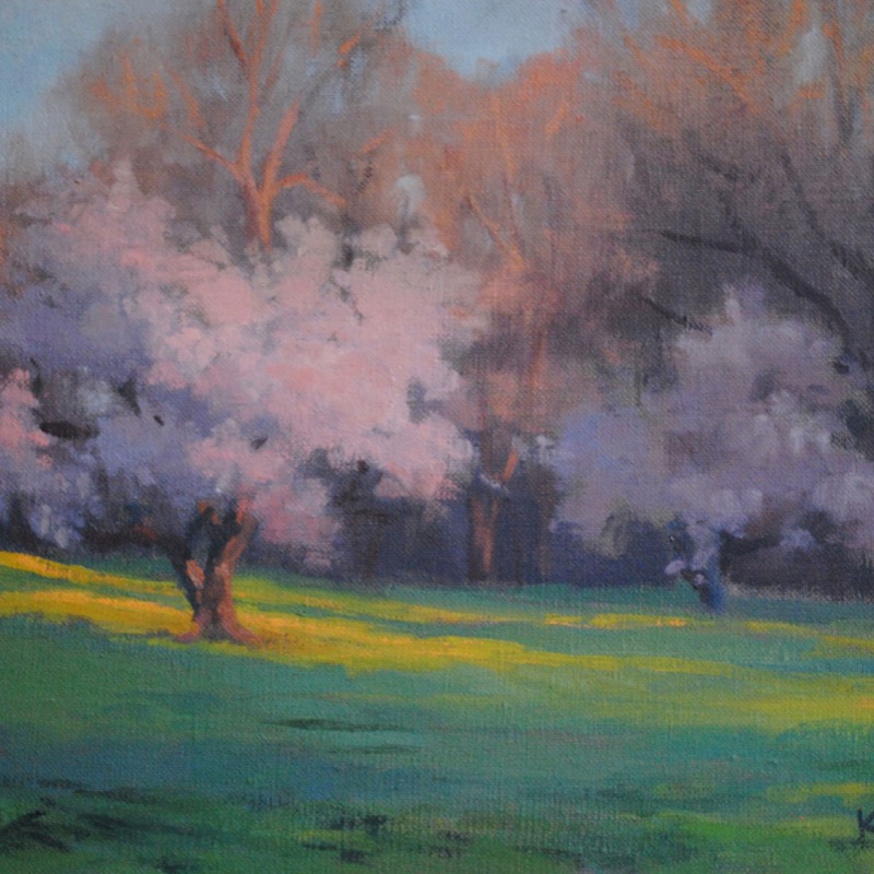 Cherry_blossoms