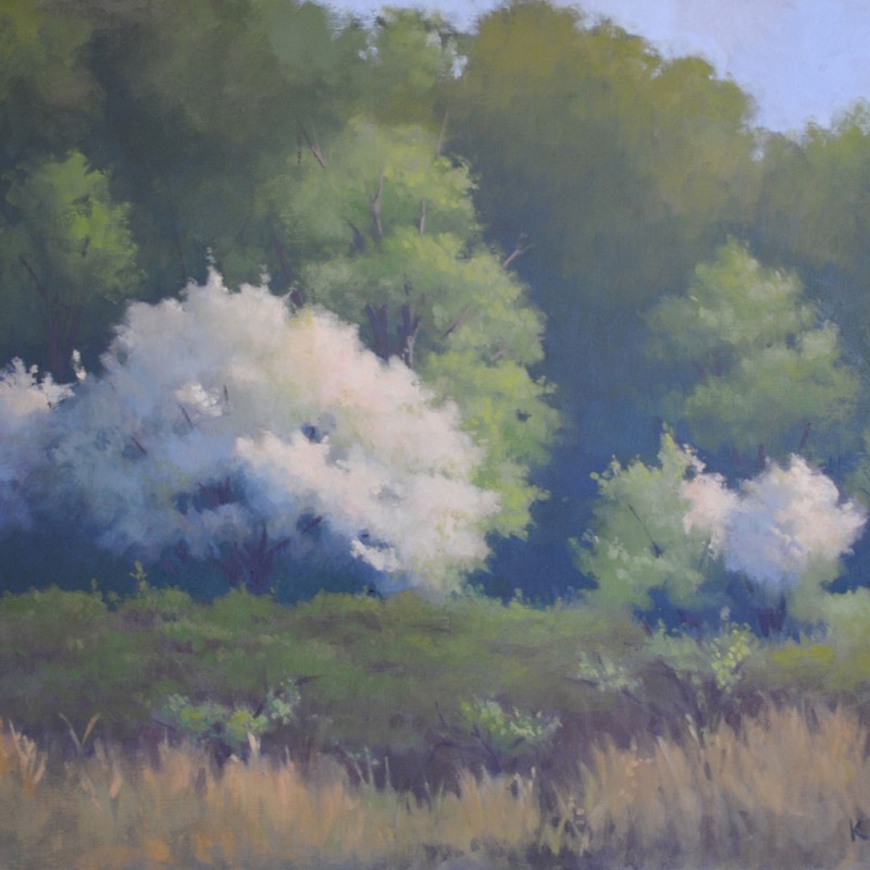 Late_spring_bloom