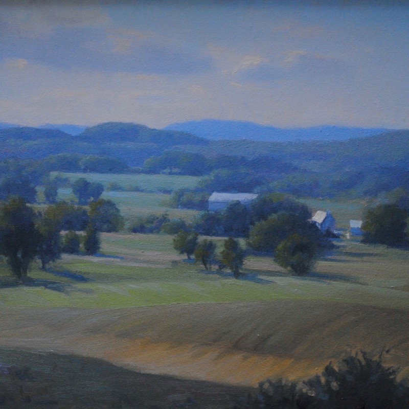 Summer_fields